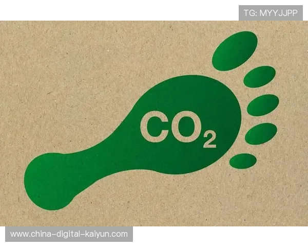 主办方实施碳足迹追踪计划，响应全球环保倡议