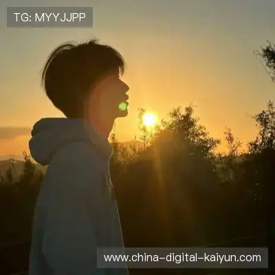 史晨芳